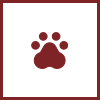 main value icon