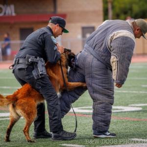 LACPCA-event-2025 (144)