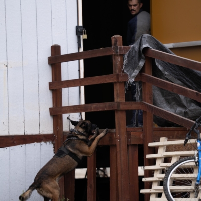 2025-k9-seminar-reszie