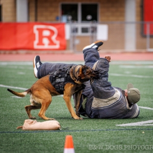 LACPCA-event-2025-90-resize